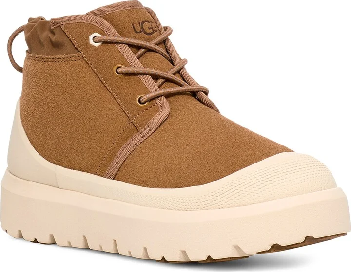 Chestnut / Whitecap