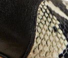 Nevada Stretch High Boot in Black with Natural Python-Embossed Leather - Image 6