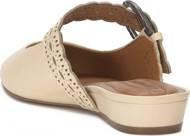 Nicona Mule - Image 11