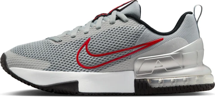 Nike Men's Air Max Alpha Trainer 6 Workout Shoes in Grey | FQ1833-011