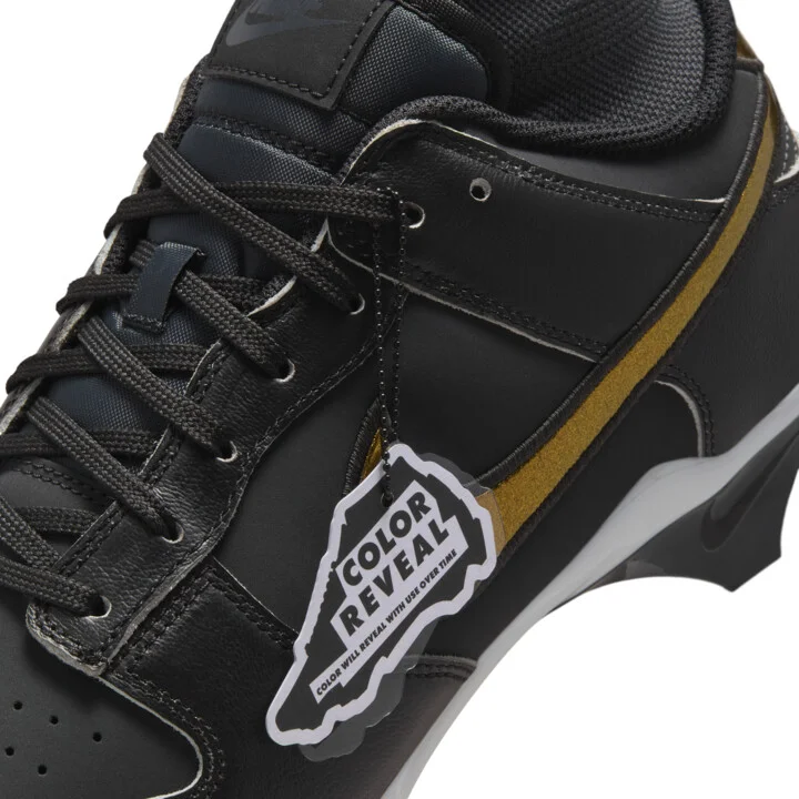 Nike Men's Alpha Menace Dunk Football Cleats in Black | HV6923-001 - Image 10