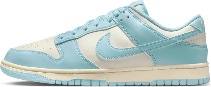 Nike Men's Dunk Low Retro Shoes in Brown | HF5441-103