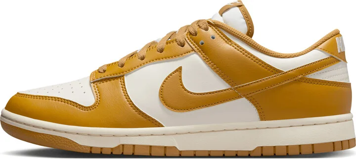 Nike Men's Dunk Low Retro Shoes in Brown | HF5441-108