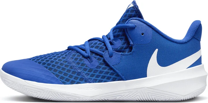 Nike Men's HyperSpeed Court Volleyball Shoes in Blue | CI2964-410