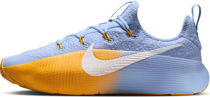 Nike Men's LeBron TR 1 Workout Shoes in Blue | FJ6151-401