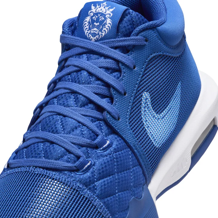 Nike Men's LeBron Witness 8 Basketball Shoes in Blue | FB9944-401 - Image 7