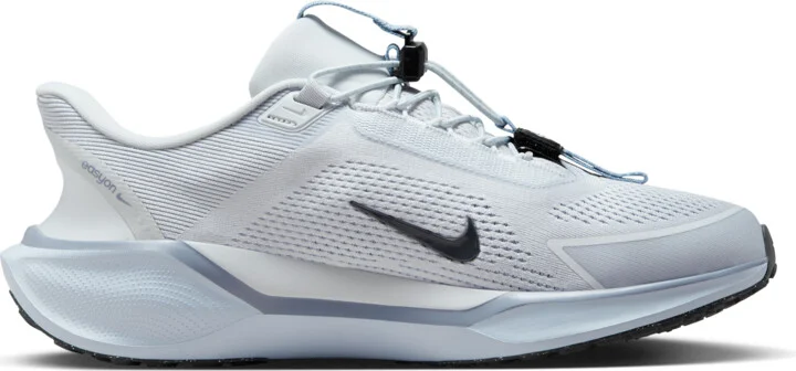 Nike Men's Pegasus EasyOn Road Running Shoes in Grey | FQ7837-004 - Image 3