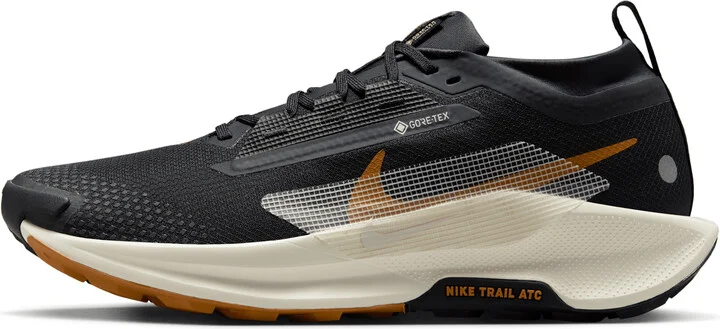 Nike Men's Pegasus Trail 5 GORE-TEX Waterproof Trail Running Shoes in Black | FQ0908-007