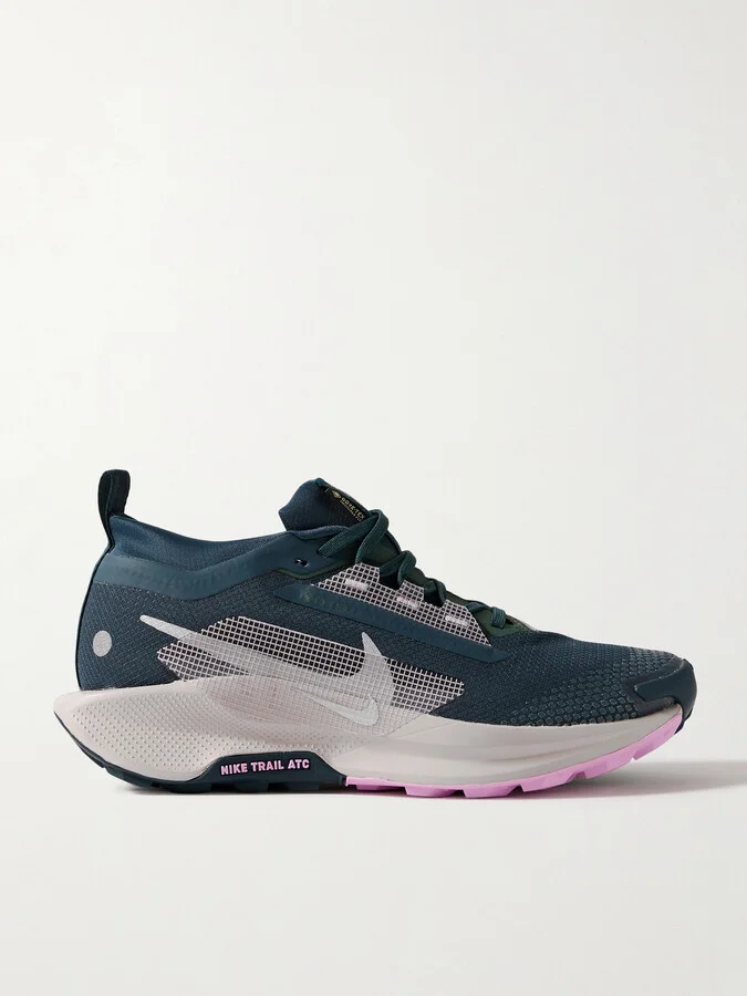 Nike - Pegasus Trail 5 Embroidered Rubber-trimmed Gore-tex Sneakers - Blue