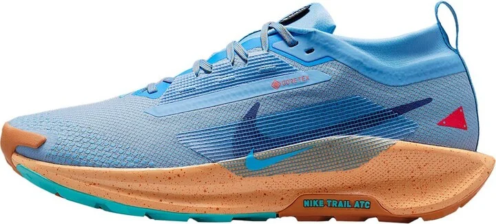 Nike Pegasus Trail 5 GORE-TEX Running Shoe - Men's
