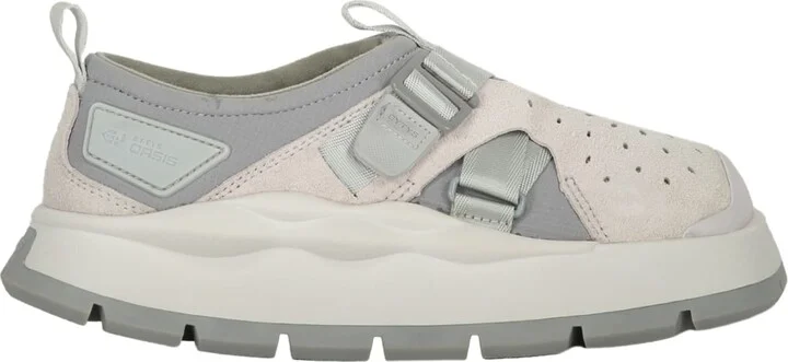 turtledove