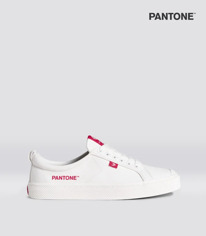 Off-White/Pantone Viva Magenta