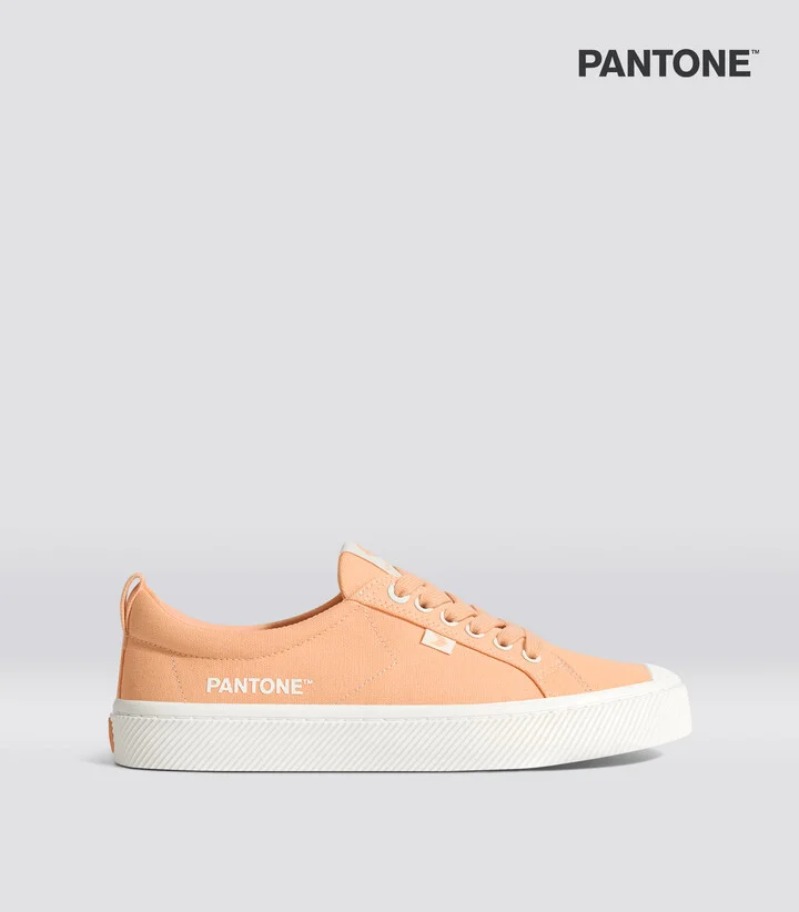 Pantone Peach Fuzz