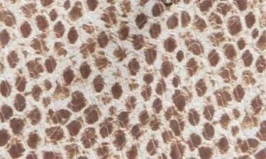 Ocean Snakeskin Embossed Thong Sandal - Image 9