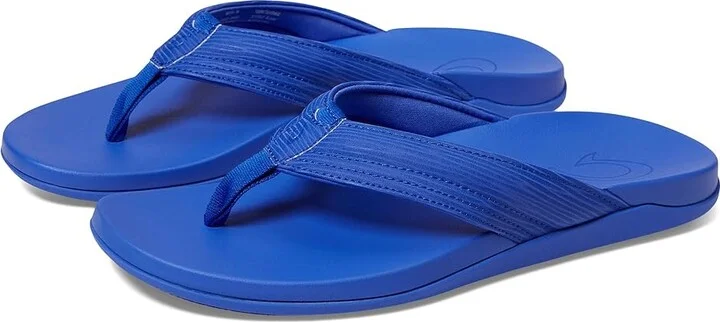 Sunset Blue,sunset Blue
