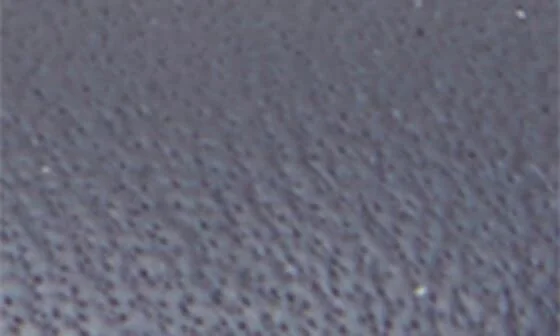 Olympia Skimmer Flat - Image 7