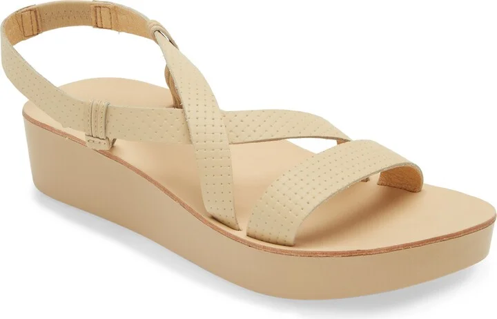 Warm Beige / Warm Beige