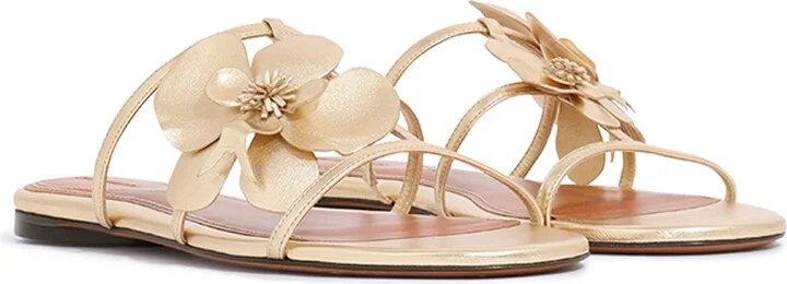 Orchid Slide - Image 3