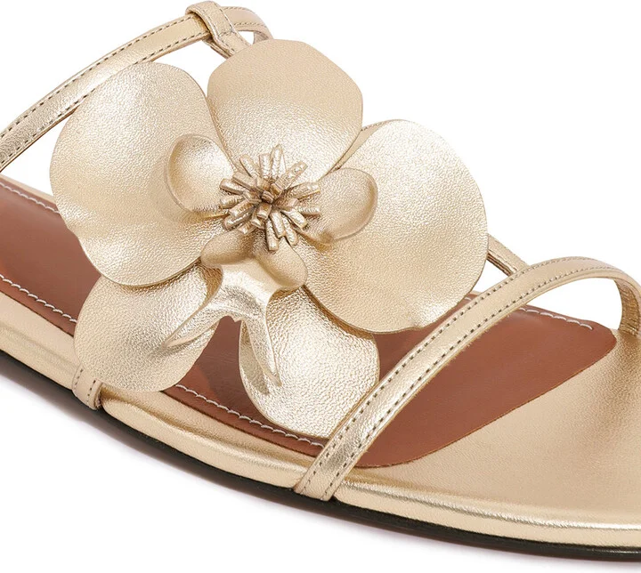 Orchid Slide - Image 6