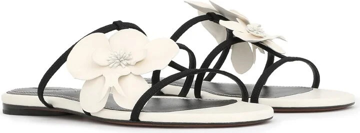Orchid Slide - Image 3