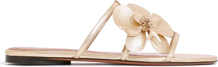Orchid Slide