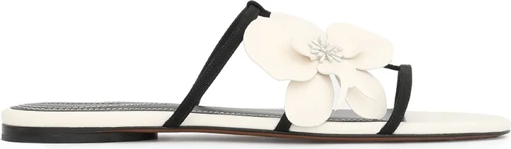 Orchid Slide