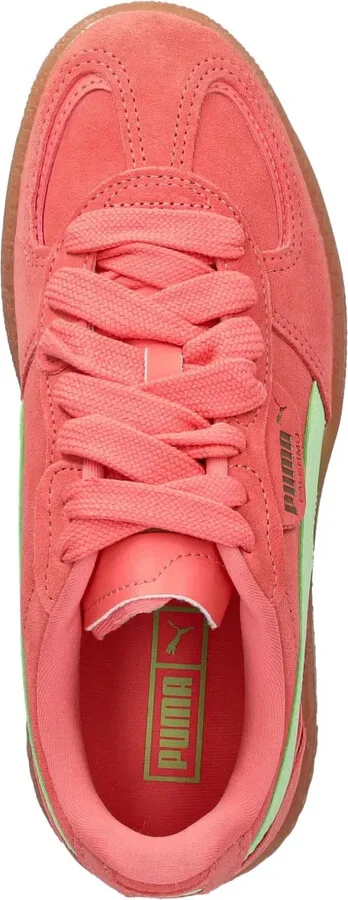 Palermo suede sneakers - Image 4