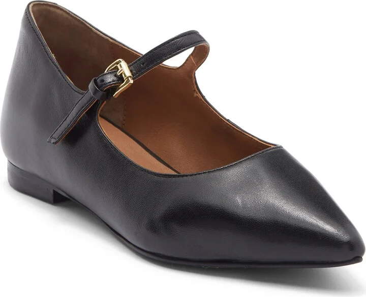 Pardon Me Pointed Toe Mary Jane Flat