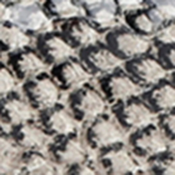 Paris Texas Snake Print Leather Sveva Ballet Flats - Image 5