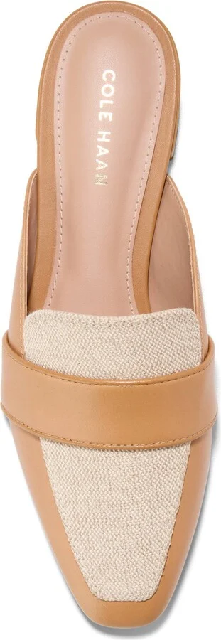 Pasha Mule - Image 5