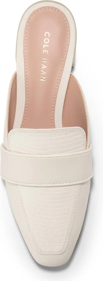 Pasha Mule - Image 11