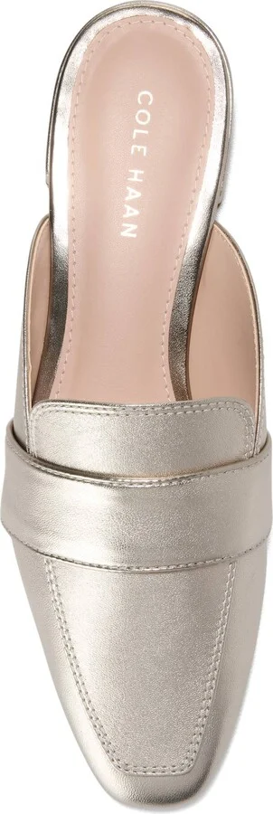 Pasha Mule - Image 5