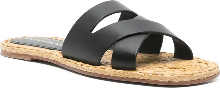 Pauline slides - Image 2