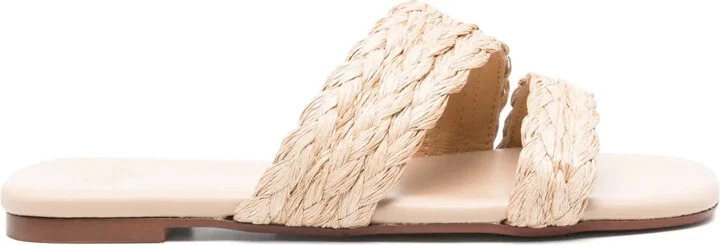 Paz slides