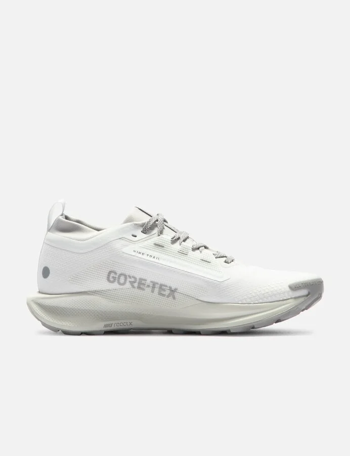 Pegasus Trail 5 GORE-TEX SP - Image 2