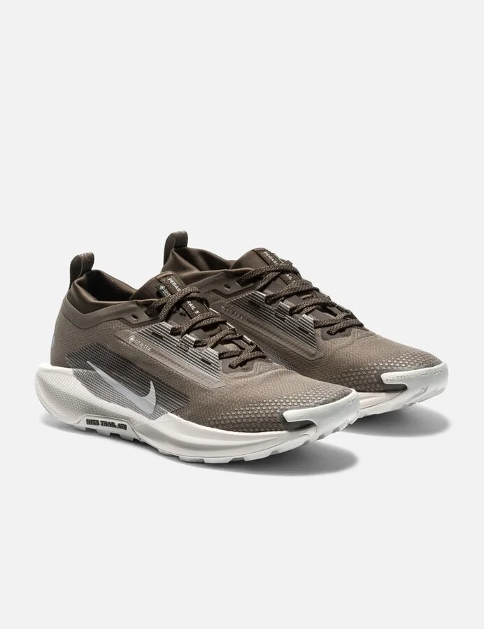Pegasus Trail 5 GORE-TEX SP - Image 4
