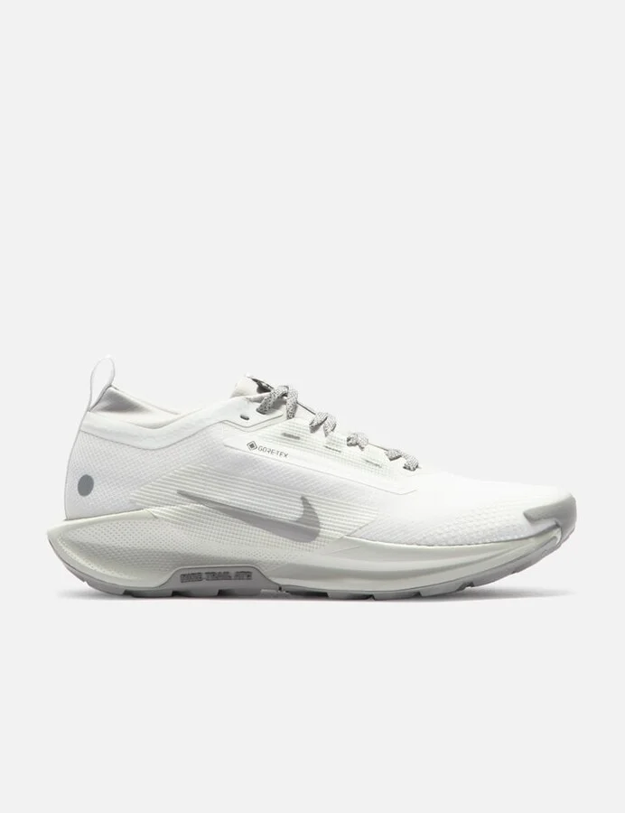 Pegasus Trail 5 GORE-TEX SP