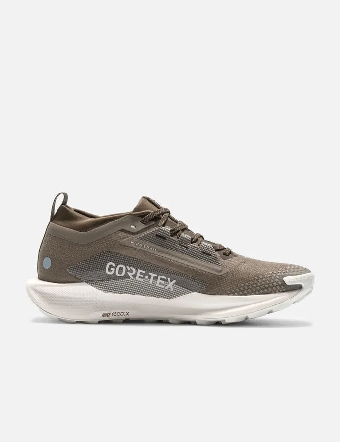 Pegasus Trail 5 GORE-TEX SP
