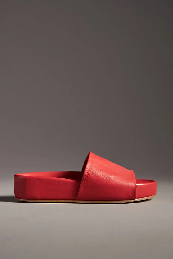 Pelican Slide Sandals