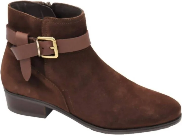 Petra In Brown