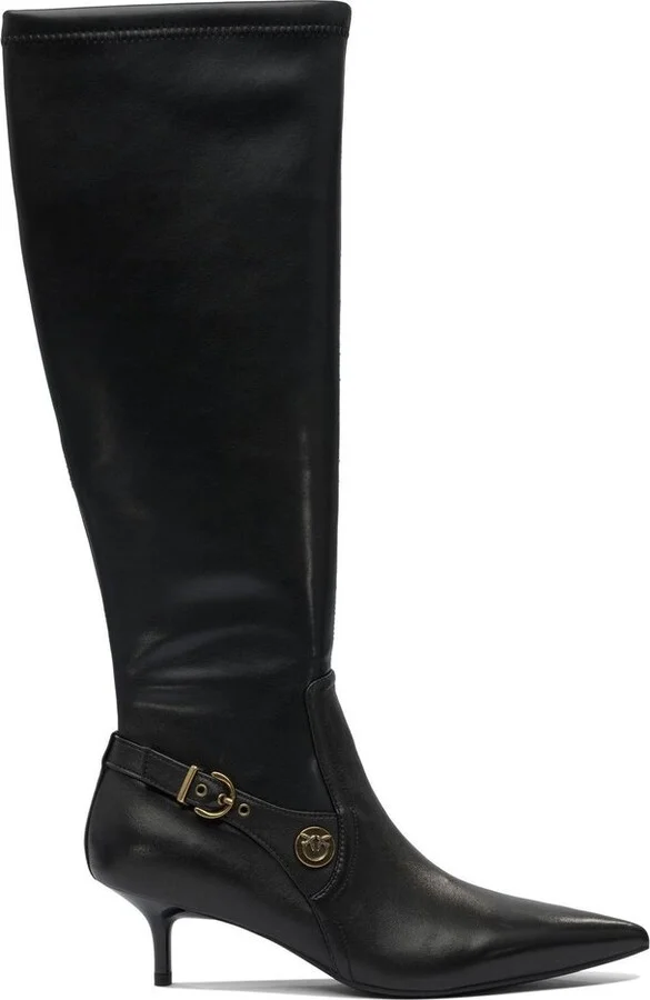 Pinko Pointed Toe Boots