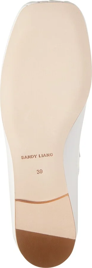 Pointe Mary Jane Flat - Image 6