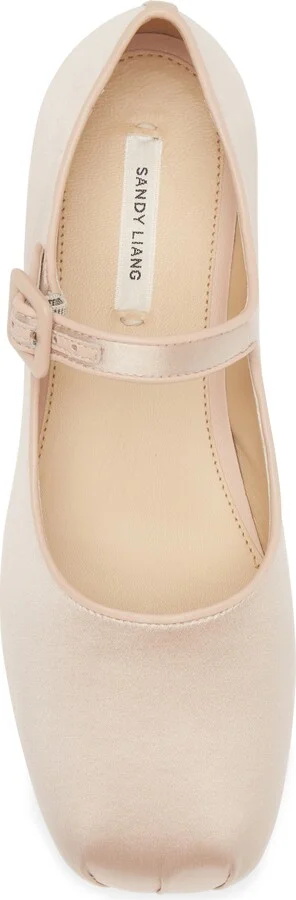 Pointe Mary Jane Flat - Image 5