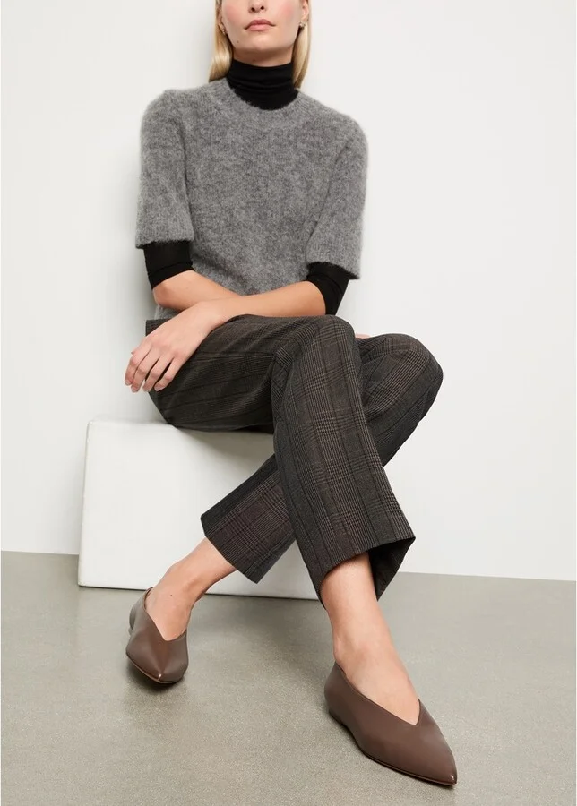 Pointy Flat Shoe
