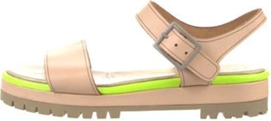 Pollini