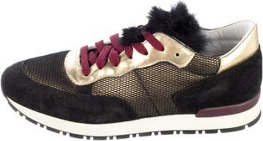 Pollini