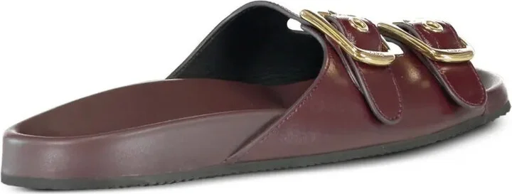 Polly slides - Image 2