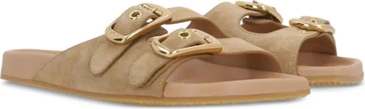 Polly slides - Image 2