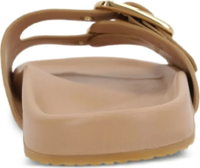 Polly slides - Image 3