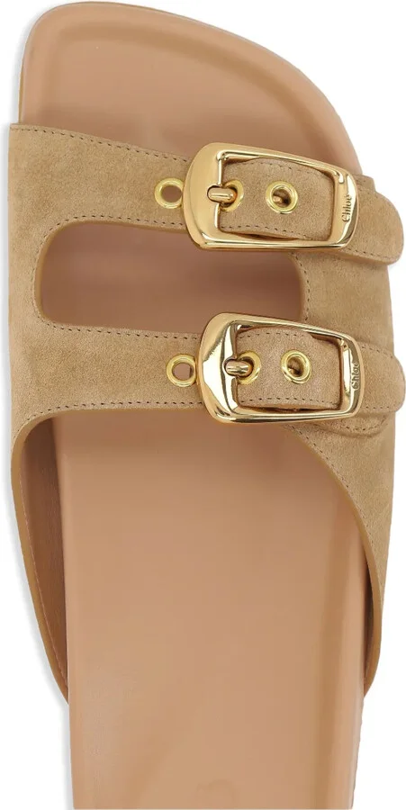 Polly slides - Image 4